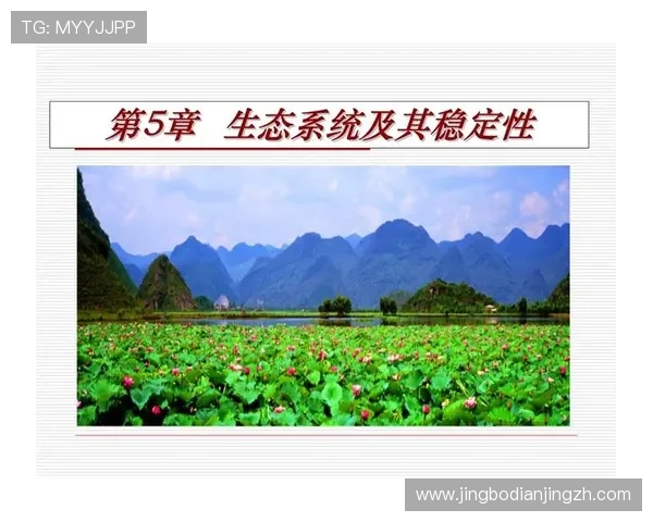 半岛备用网址技术升级方案，提升系统稳定性和安全防护能力